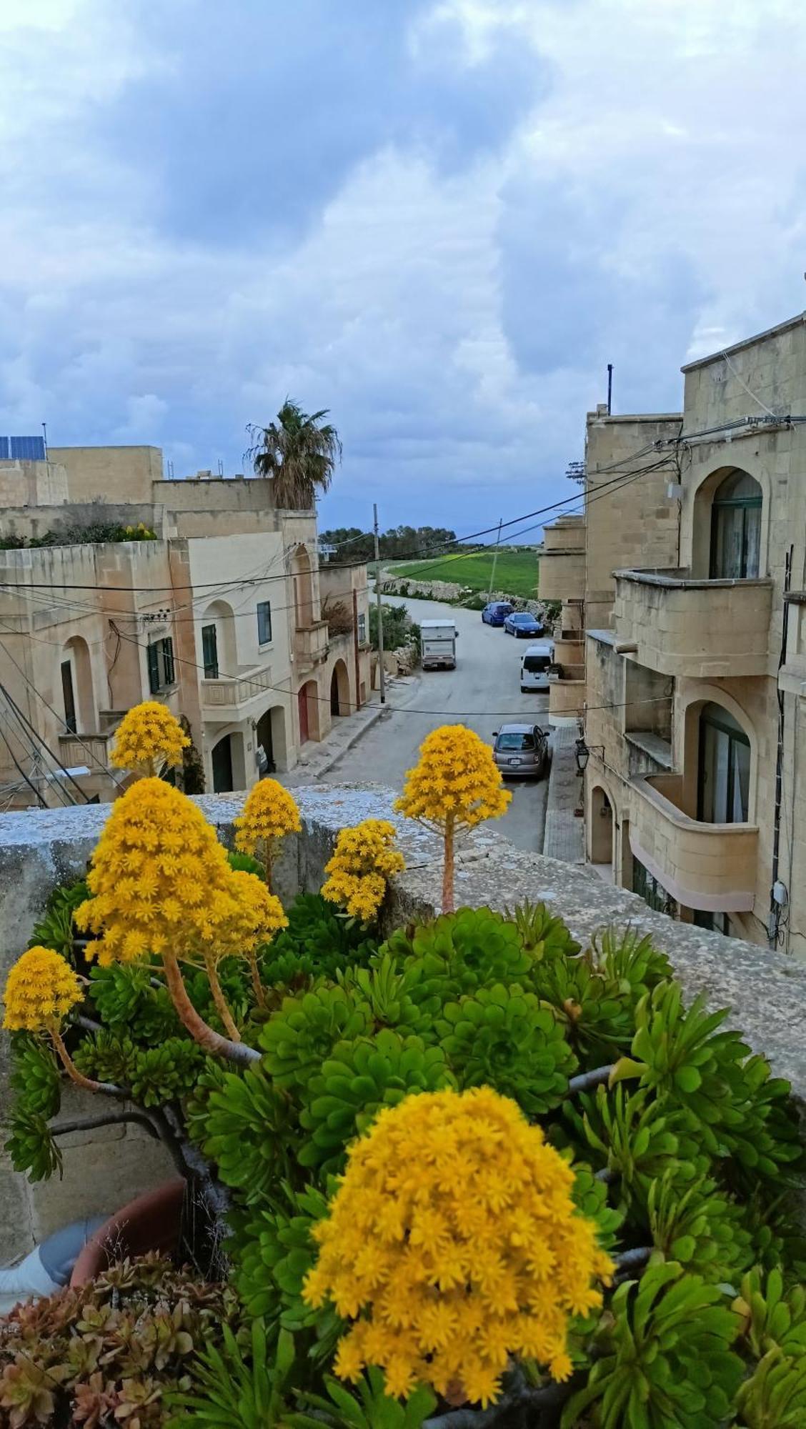 Arthome - Guest Rooms Għarb المظهر الخارجي الصورة